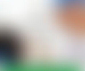 Quer estudar Medicina Dentária (Odontologia) em Portugal?