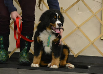 DSC_4818.JPG