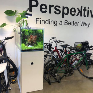 Happy, Healthy and Hardworking 