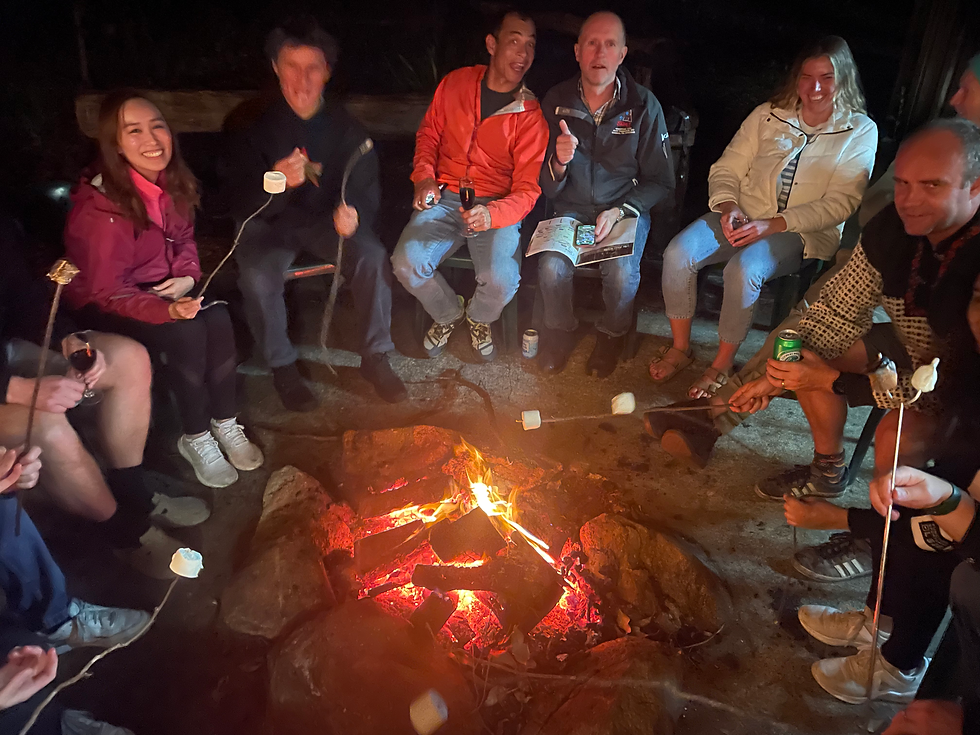 Perspektiv team enjoying s'mores
