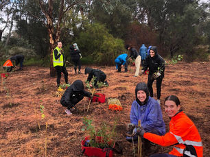 Planting Day with Trillion Trees Australia