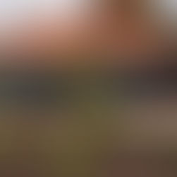 Community Gardens - Let's Get Involved!