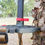 Thumbnail: Solo Stick - Rope Containment System