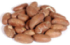 OROGBO 1 LIBRA