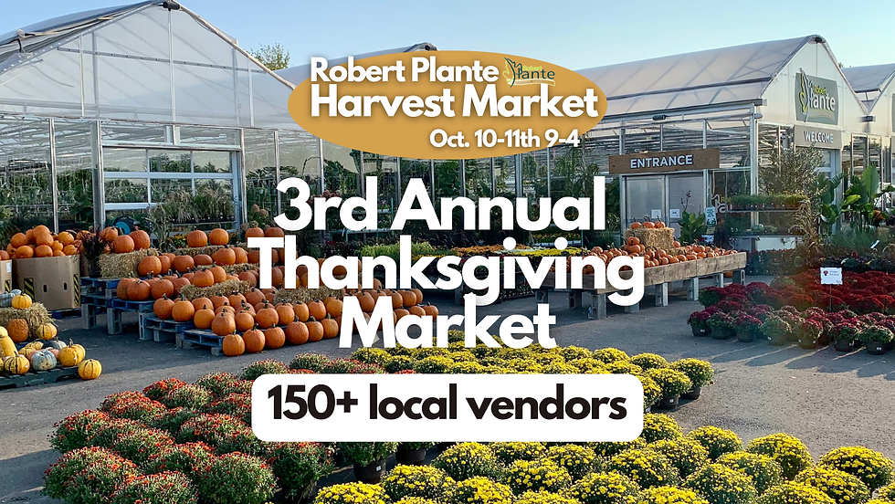3rd Annual Thanksgiving Market at Robert Plante Greenhouses 🎃🍂