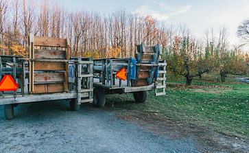 On the Wagon Ride