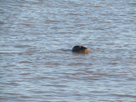 18 Million Metres Completed