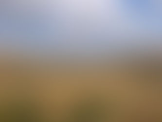 Congratulations to the Billion Metre Team - 275 Million Metres Complted!