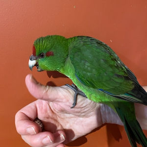 GettyImages-1190411433_edit 1.jpg