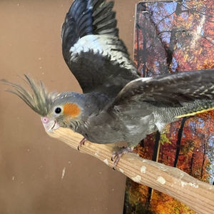 Hotels-Models14015 2_edit_new 2.jpg