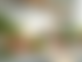 Mastering the Art of Cooking: Tips and Tricks for Every Home Chef