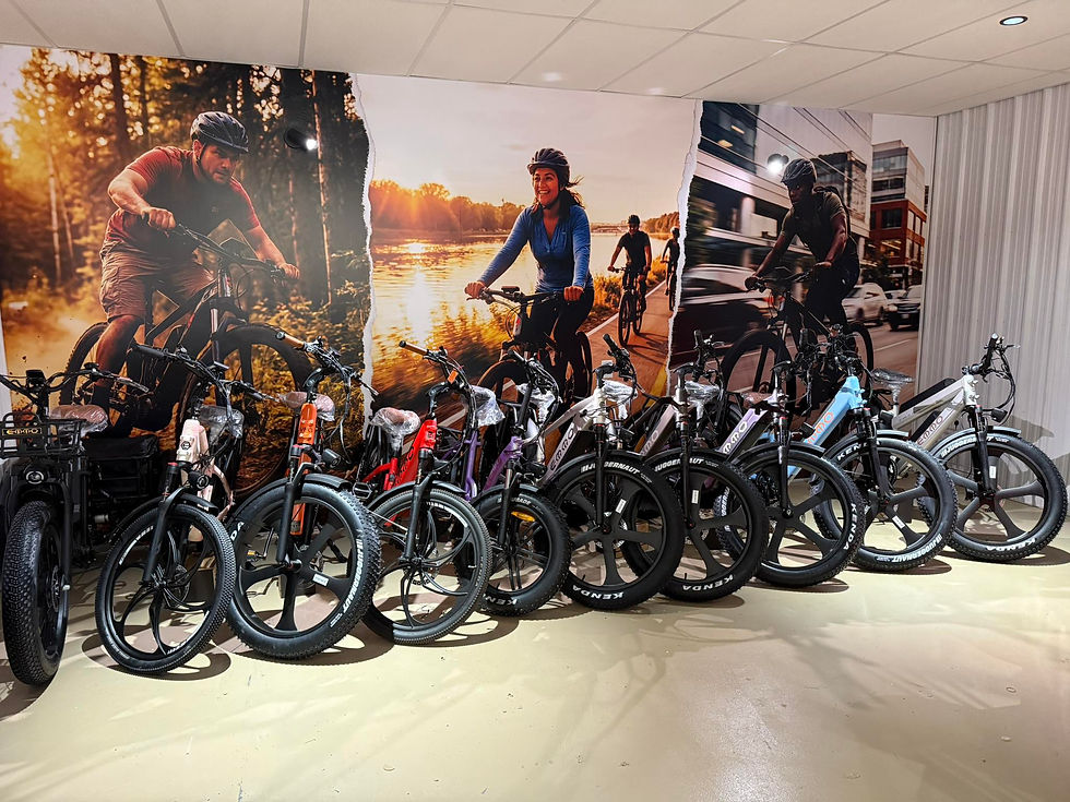 Vélos Emmo.jpg