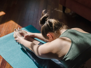 A Quickguide to the Vagus Nerve By Sophie Knapp MScN, CN, CNS
