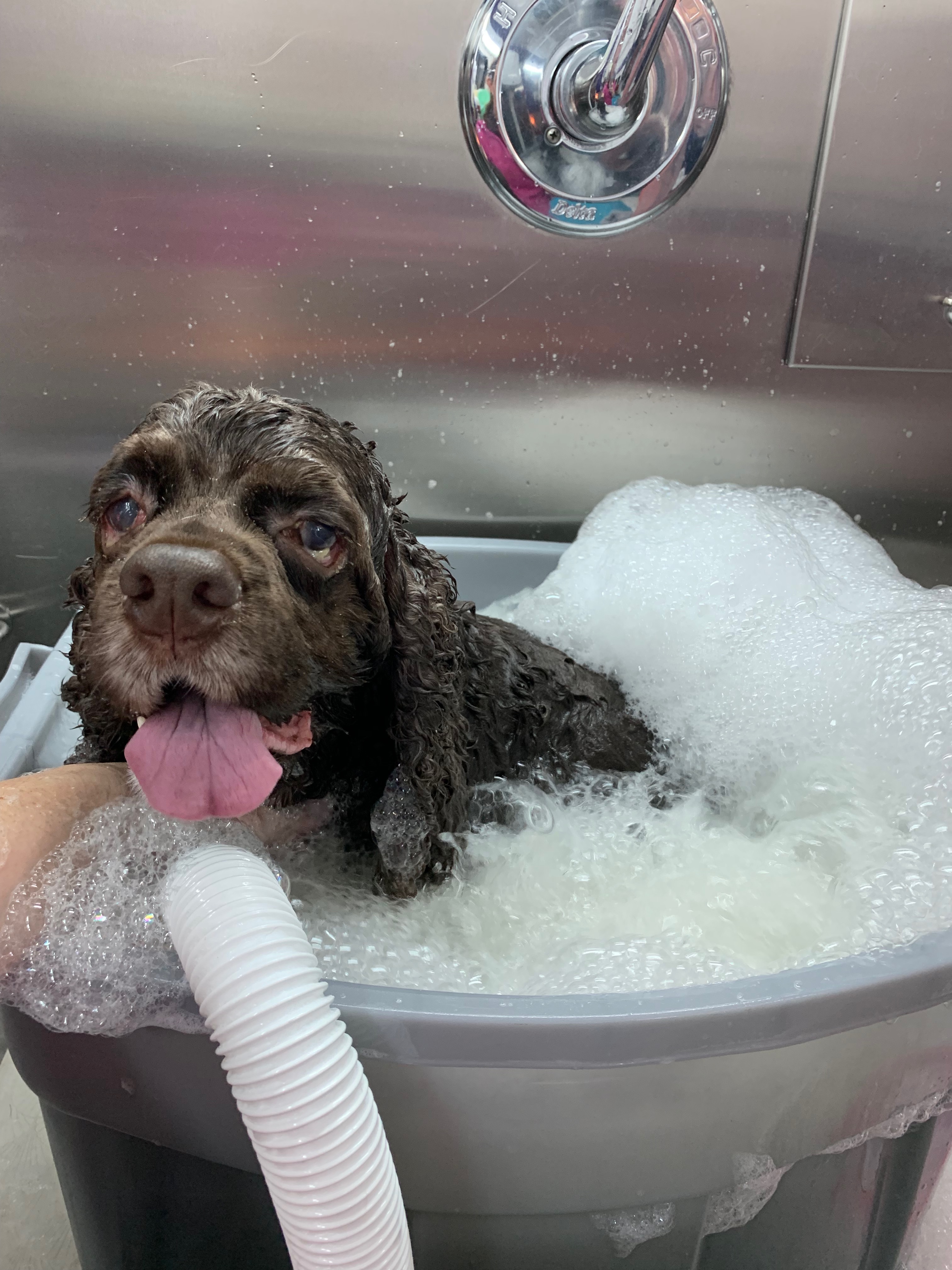Ozone Bath