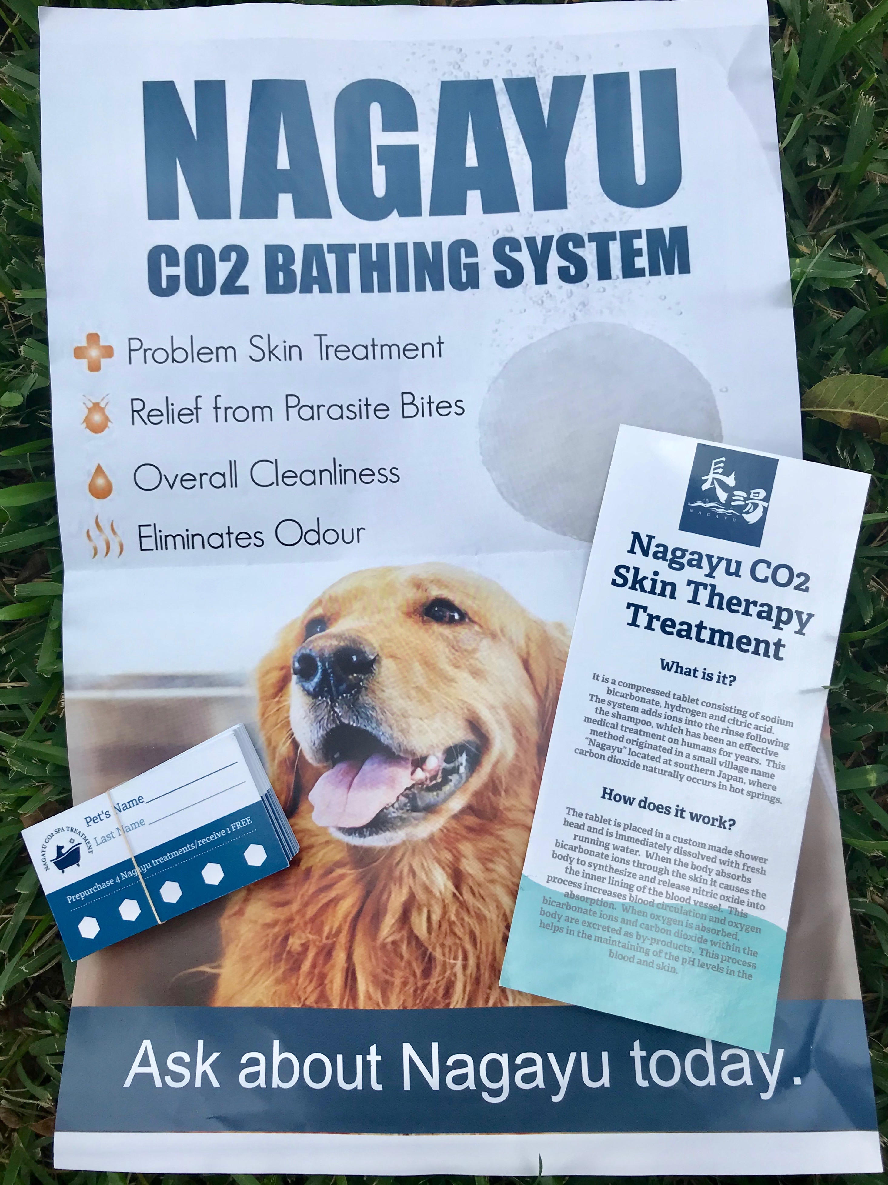 Nagayu