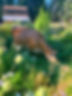 PicfxFile 135.JPG