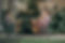 HDS06585.jpg