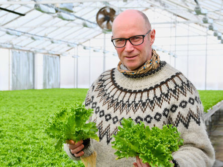 Suksess med polarsalat på Reinøya