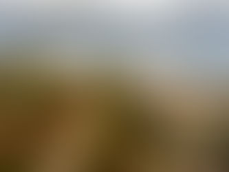 Når vern blir viktigere enn bærekraftig samfunnsutvikling