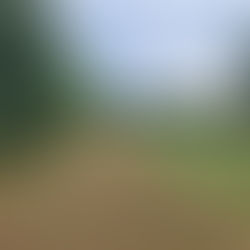 Golf Course Review: Grand Ridge GC