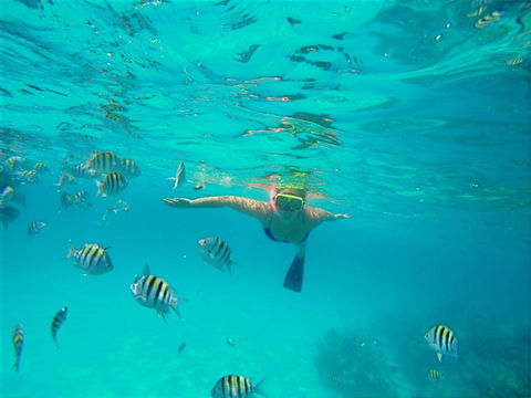 Snorkel tour Nassau, Bahamas