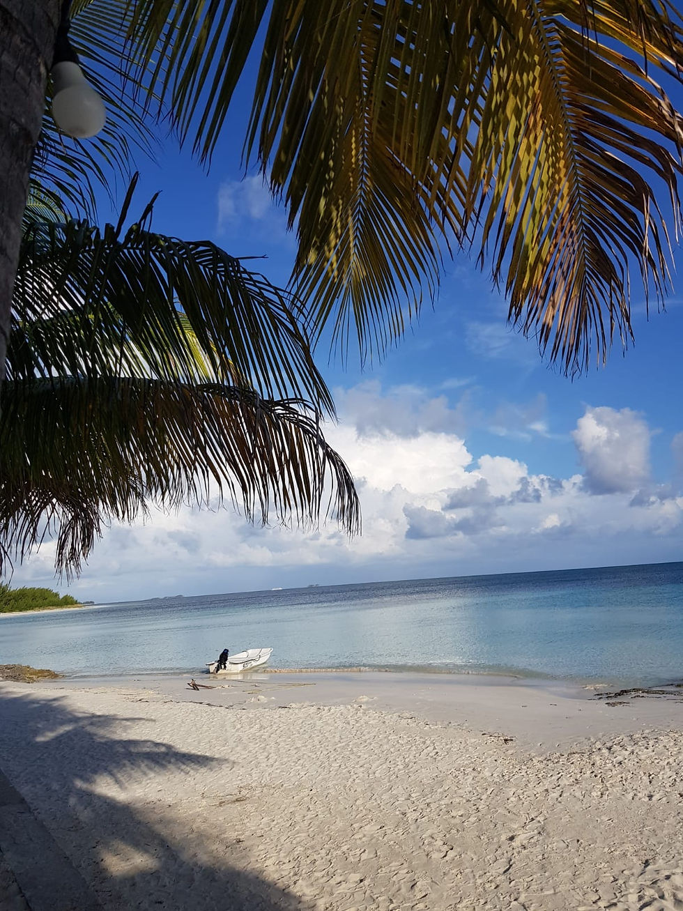 Rose Island, Bahamas view.
