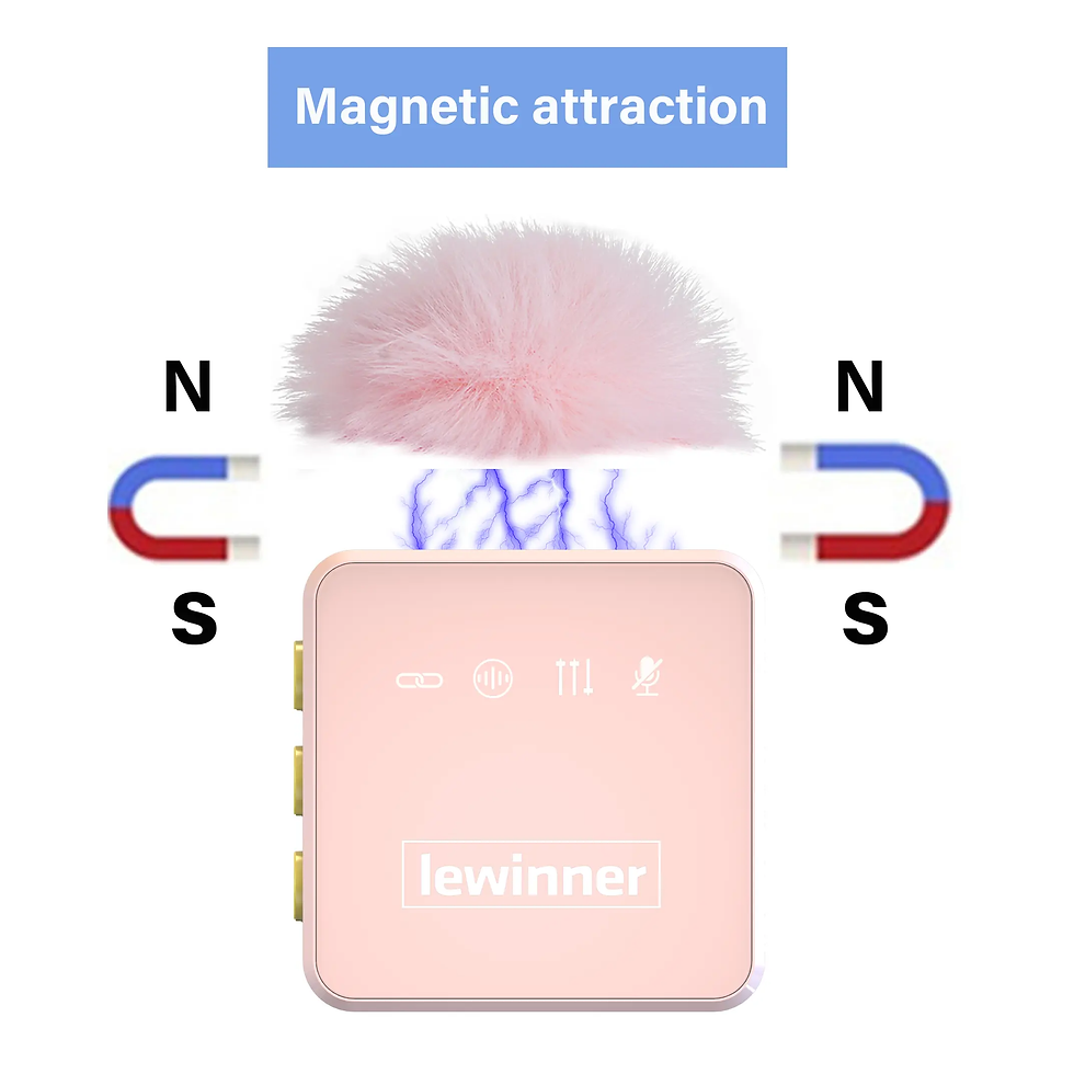 Thumbnail: Spring Glow Up! Lewinner Professional Noise-Canceling Wireless Reverb Lavalier M