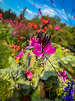 Termeszet Kekeletmod Tabor