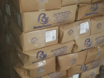 Dupla é presa por receptação qualificada em Viamão - RS