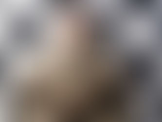 Operação Versa desarticula quadrilha de roubos de carga do RS