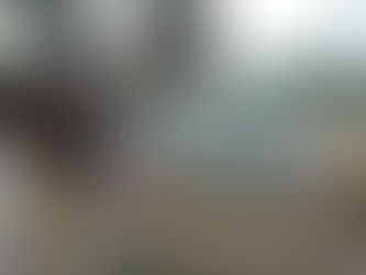 Quadrilha rouba carga de calçados e é detida pela PRF na BR-381 em MG