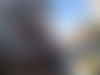 Roubo de caminhão em Cravinhos com 4 ton de carnes foi planejado por grupo especializado, diz políci