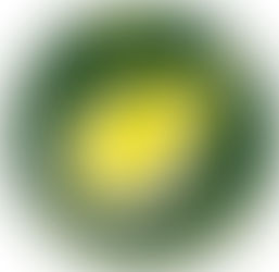 Referat årsmøte 2023