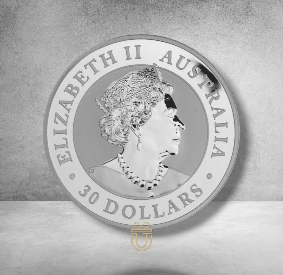 Miniaturbild: Australien Kookaburra 2019 30 AUD 1 kg Silbermünze