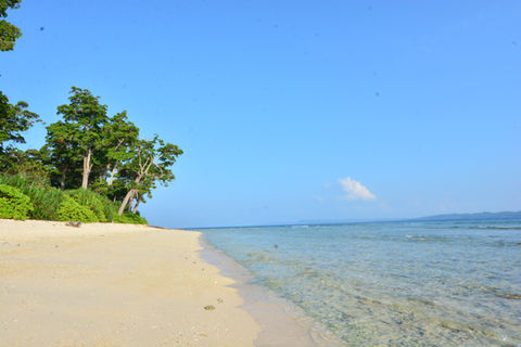 Laxman Pur Beach (10).JPG