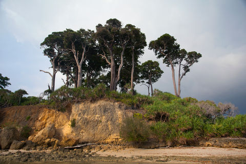 IMG_7728 Neil Island (15).jpg