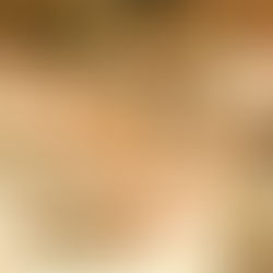 Im Honig steckt immer ein bisschen Sommer – selbst im Winter – Kochabend mit Honig Niedersayn