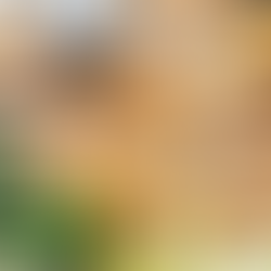 Yuca Fries & Roasted Garlic Aioli