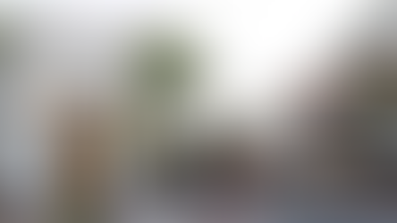 Things You Can Try in Westfield, New Jersey