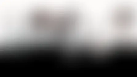 Concertverslag | Spineshank, (hed) P.E. + support, Bibelot