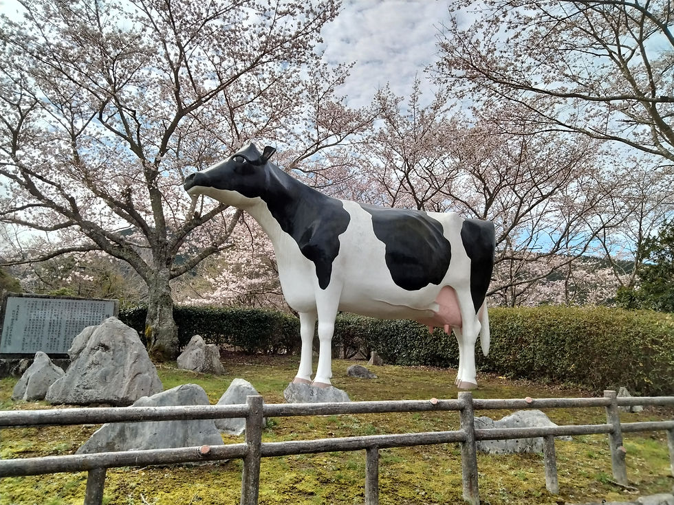 ree