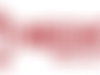 クラウドファンディング進捗報告