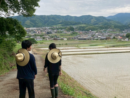 野村でのボランティア活動報告(野村システム試行①)🎉