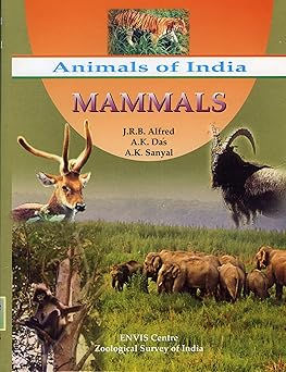 Mammals - Animals of India