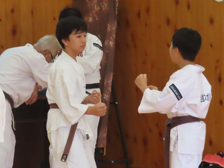 少年拳士たちが基本練習に取り組んでいる様子