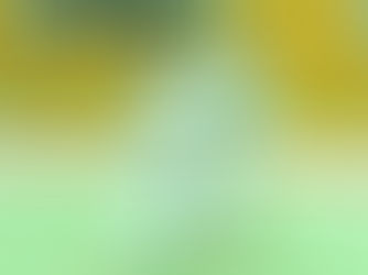 女性拳士が男性拳士と組み、投げ技の準備をしている様子