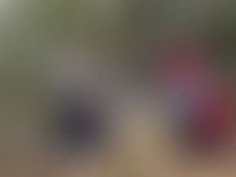 有馬富士・耐寒登山ハイク｜三田南道院