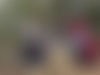 有馬富士・耐寒登山ハイク|三田南道院