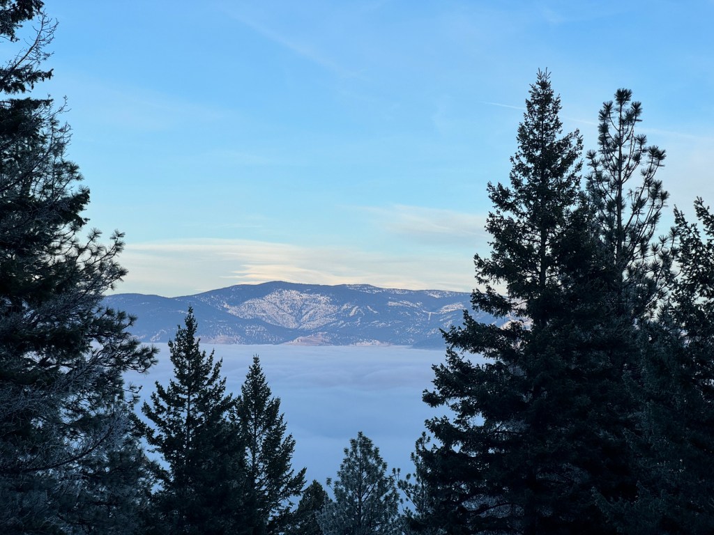 tall coniferous trees stand in the foreground with a thick blanket of fog in just behind them, sitting over the valley. The mountains peak out of the fog, lit by the sun and spotted with snow that's starting to melt in the spring sunlight.
