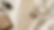colecao background.png